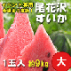(イベント専用)特選尾花沢スイカ(大)　1玉　約9kg