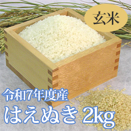 七色舟-山形県産はえぬき(玄米)　2kg