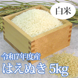 七色舟-山形県産はえぬき(白米精米)　5kg
