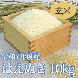 七色舟-山形県産はえぬき(玄米)　10kg