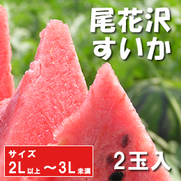尾花沢すいか(中)2玉入