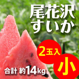 尾花沢すいか(小:2玉入り)　約14kg