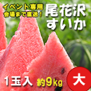 (イベント専用)特選尾花沢スイカ(大)　1玉　約9kg