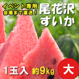 (イベント専用)特選尾花沢スイカ(大)　1玉　約9kg