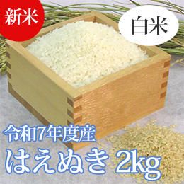 【新米】七色舟-山形県産はえぬき(白米精米)　2kg
