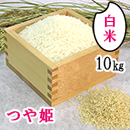 R6年産　特別栽培米　尾花沢のつや姫(白米精米)10kg　