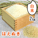 R6年産　尾花沢のはえぬき(白米精米)2kg　