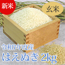【新米】七色舟-山形県産はえぬき(玄米)　2kg