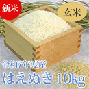 【新米】七色舟-山形県産はえぬき(白米精米)　10kg
