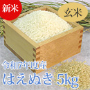 【新米】七色舟-山形県産はえぬき(玄米)　5kg