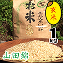 尾花沢の酒米　山田錦　(玄米)1kg　