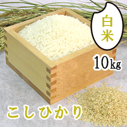 R6年産　尾花沢のこしひかり(白米精米)10kg　