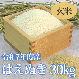 【新米】七色舟-山形県産はえぬき(玄米)　30kg