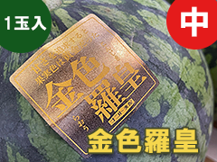 金色羅皇（中）
